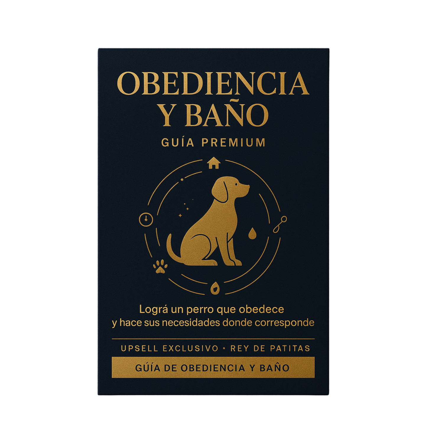 Reto Obediendia y Baño