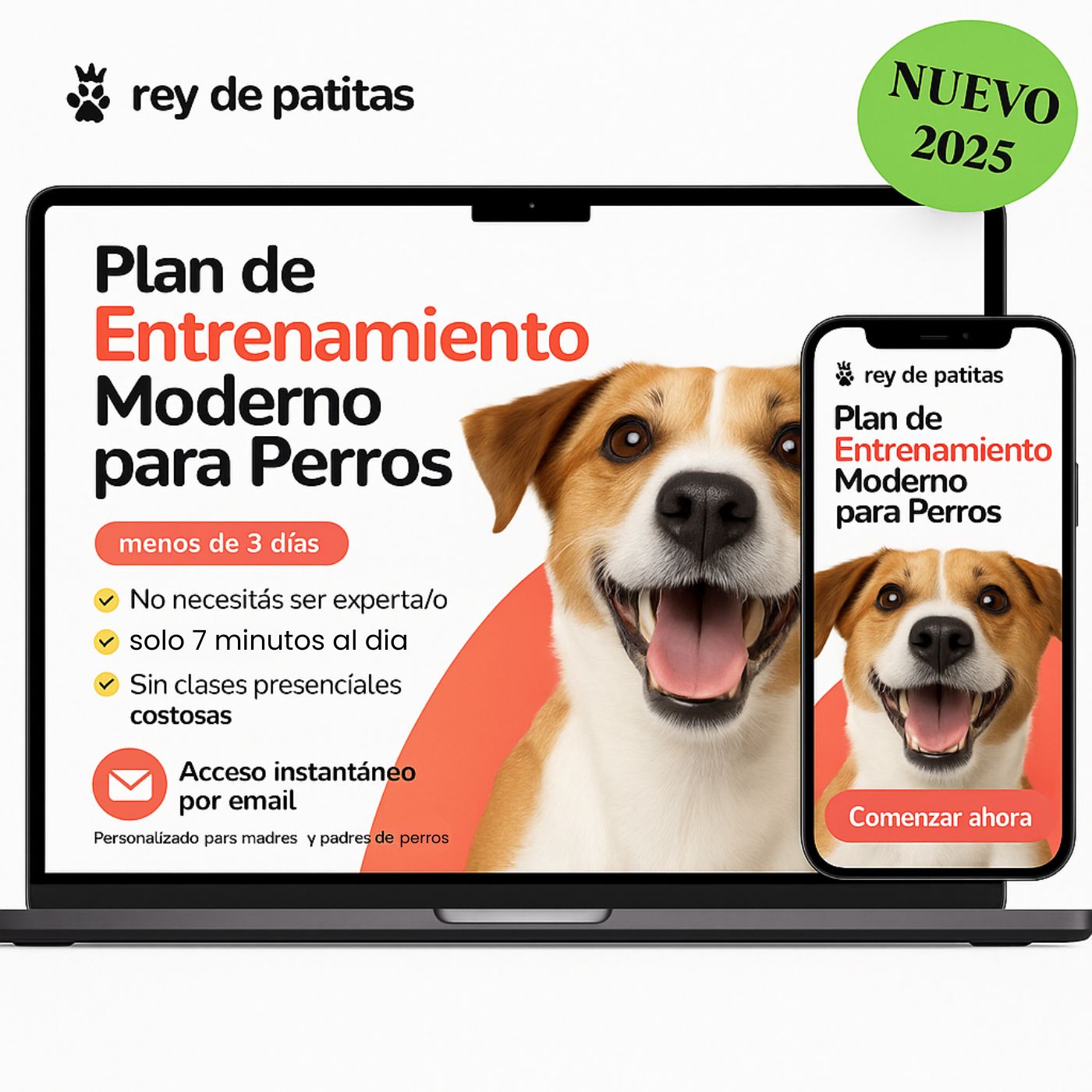 Entrenamiento Moderno Personalizado para Perros